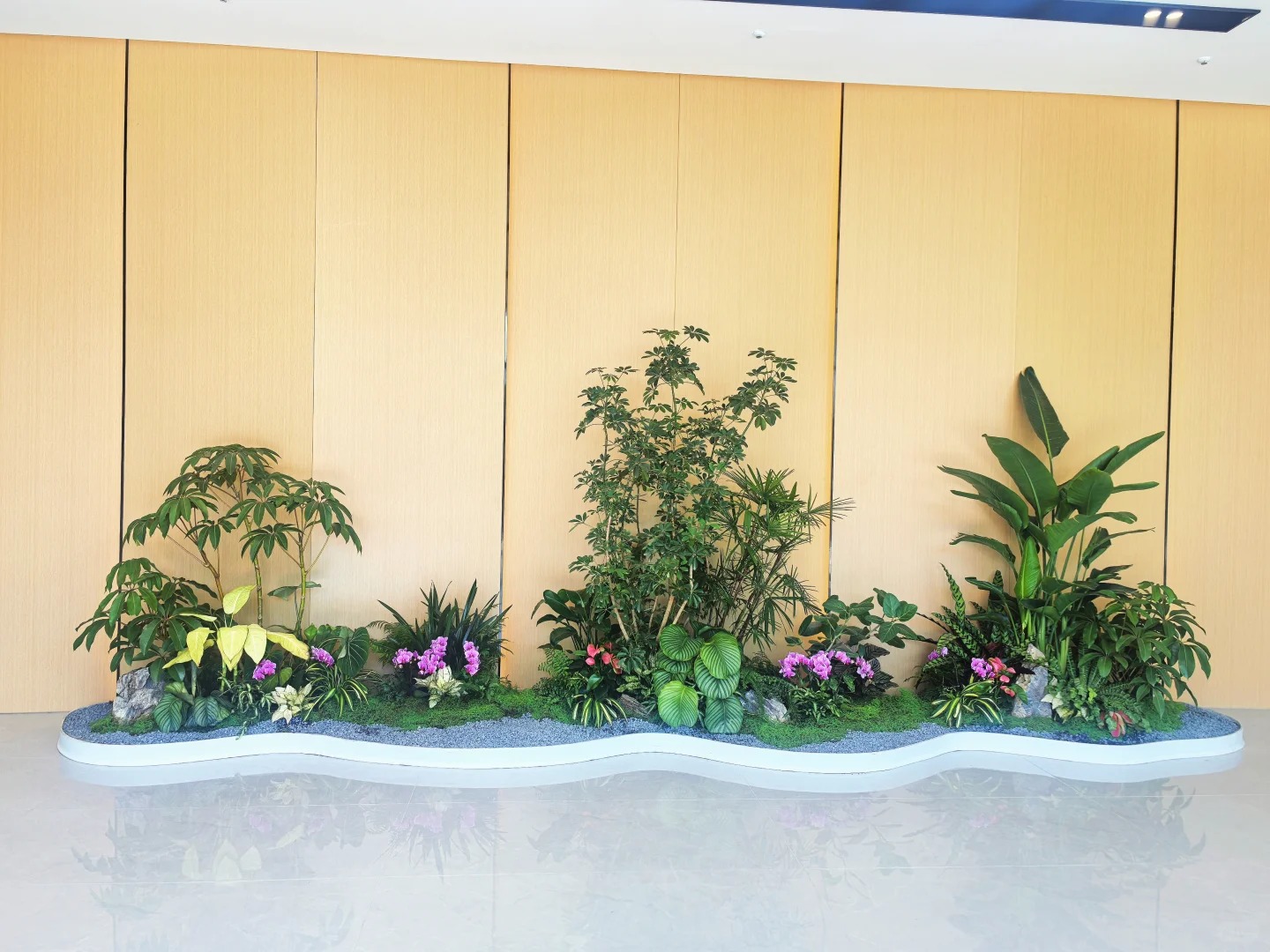 价格超实惠的花木租摆，就在宁波余姚！